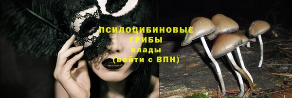 гидра Бронницы
