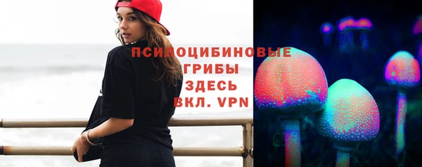 марки nbome Богданович
