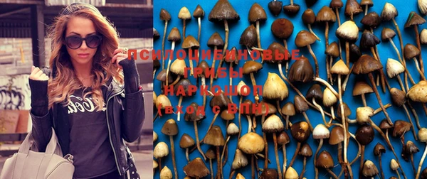 apvp Верхнеуральск