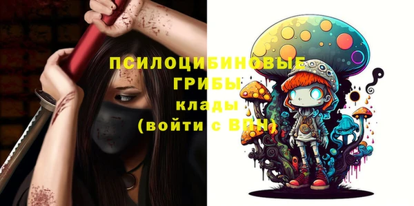 гидра Бронницы