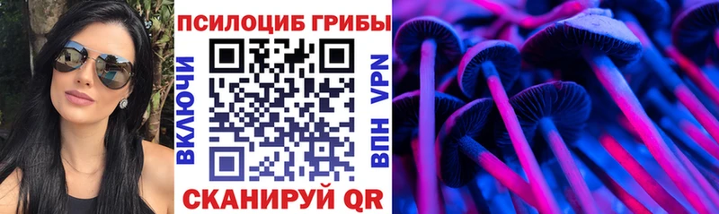 МЕГА tor  Жердевка  Псилоцибиновые грибы прущие грибы 