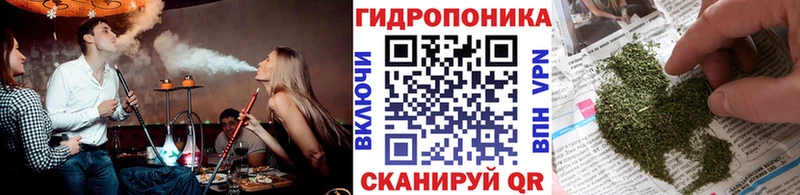 Бошки марихуана индика  MEGA зеркало  Жердевка  цена наркотик 